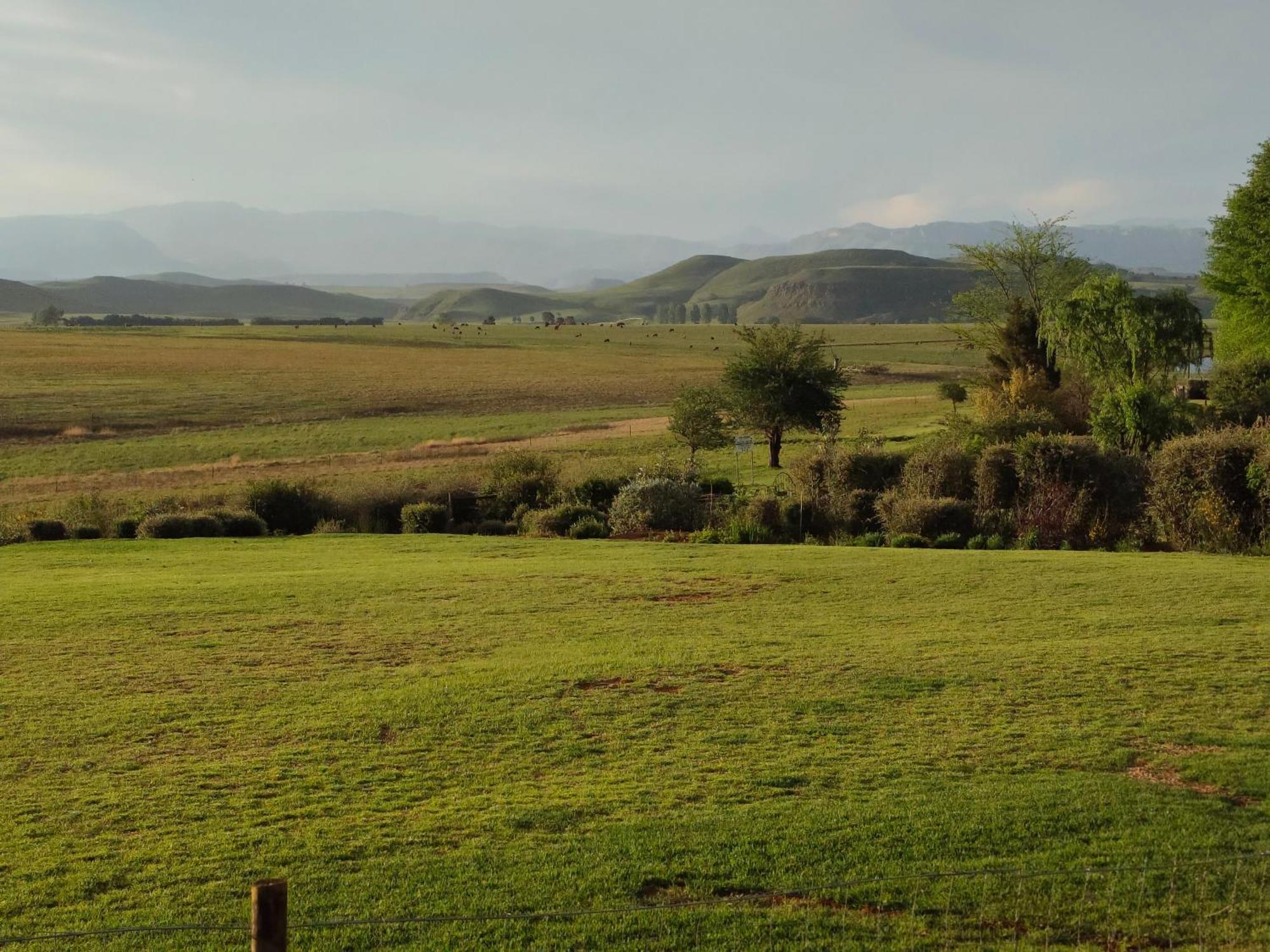 Sani Pass View Cottage Хаймвилль Экстерьер фото